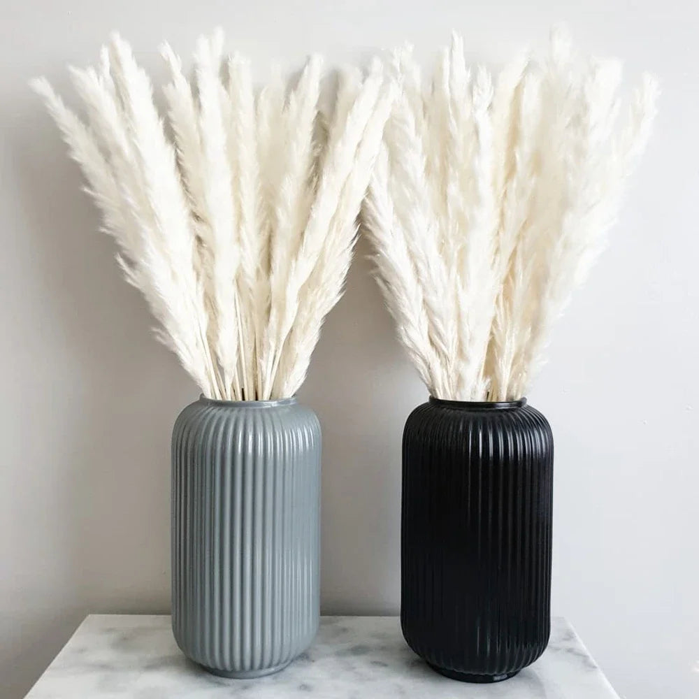 Bouquet de Fleurs Séchées Pampas Blanches – Décoration Bohème & Cozy