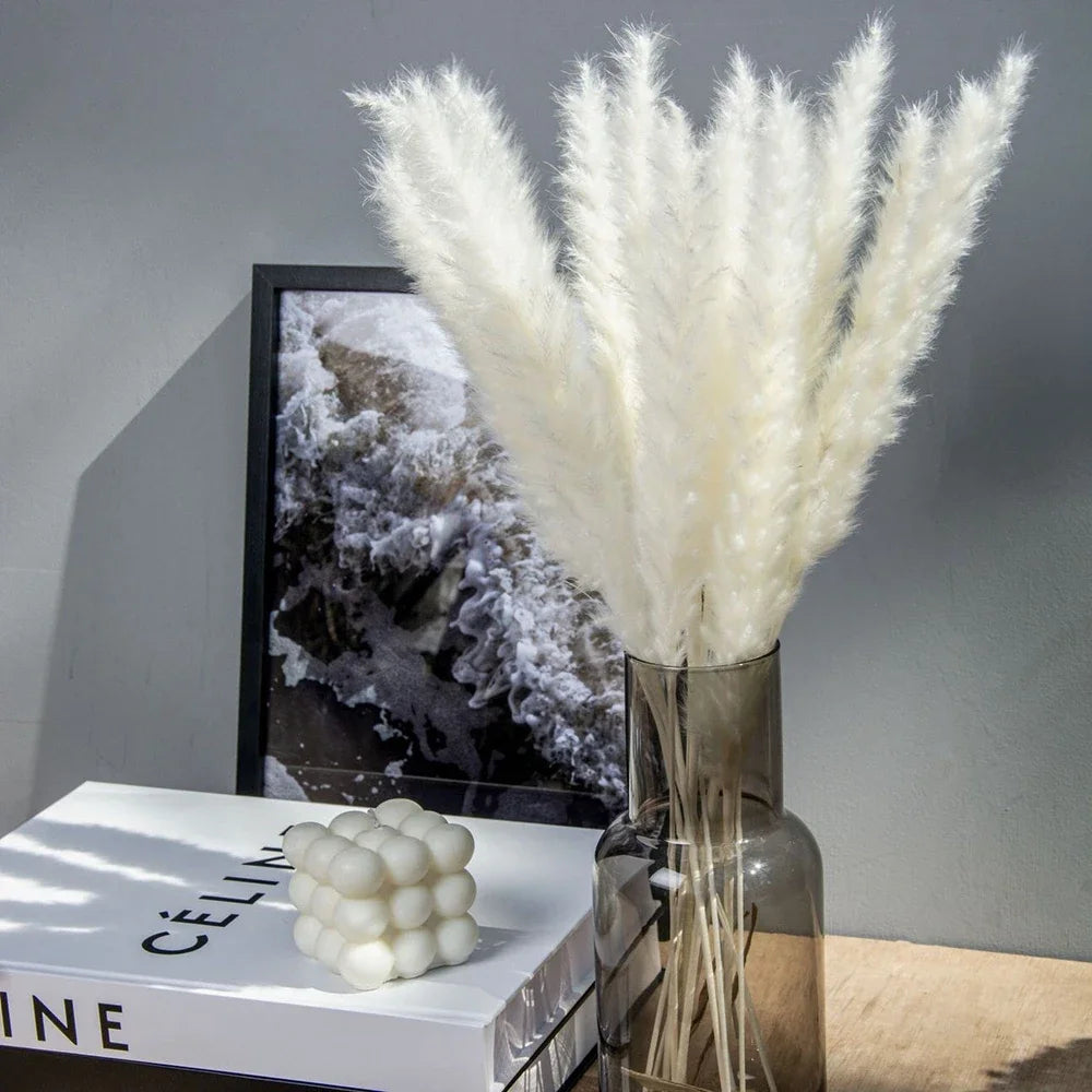 Bouquet de Fleurs Séchées Pampas Blanches – Décoration Bohème & Cozy