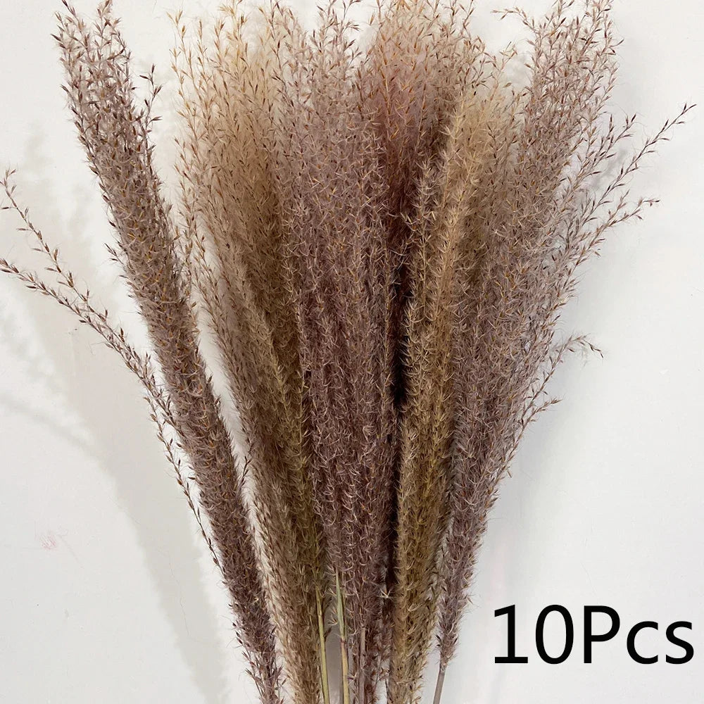 Bouquet de Fleurs Séchées Pampas Blanches – Décoration Bohème & Cozy