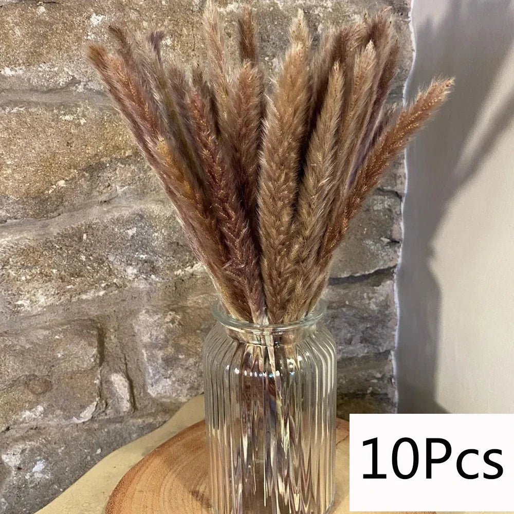 Bouquet de Fleurs Séchées Pampas Blanches – Décoration Bohème & Cozy