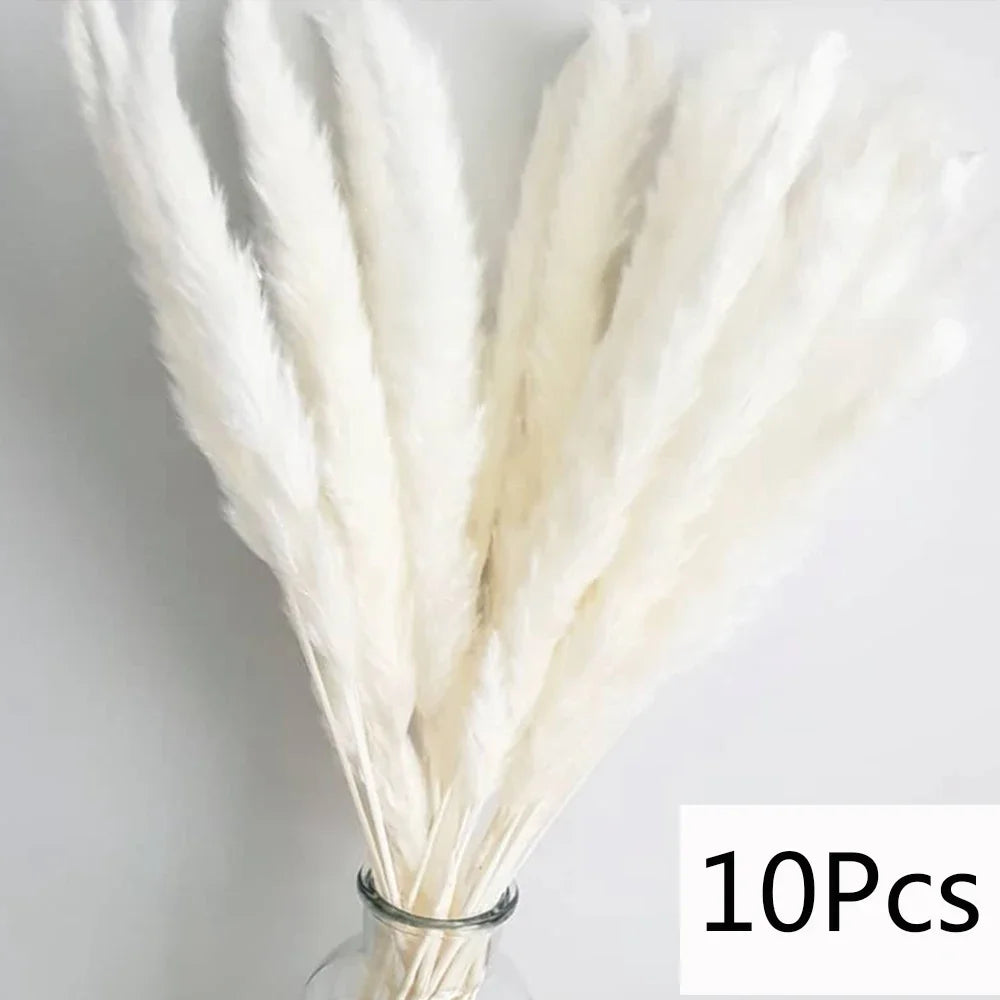 Bouquet de Fleurs Séchées Pampas Blanches – Décoration Bohème & Cozy