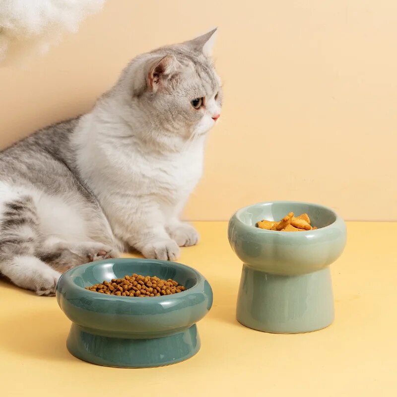 Gamelle en Céramique Surélevée – Bol Design pour Chats & Petits Chiens