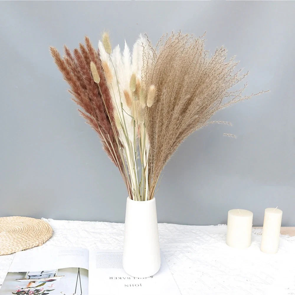 Bouquet de Fleurs Séchées Pampas Blanches – Décoration Bohème & Cozy