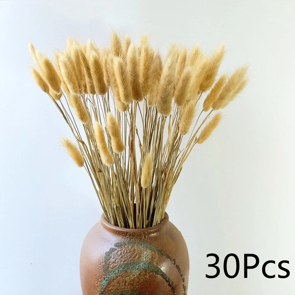 Bouquet de Fleurs Séchées Pampas Blanches – Décoration Bohème & Cozy