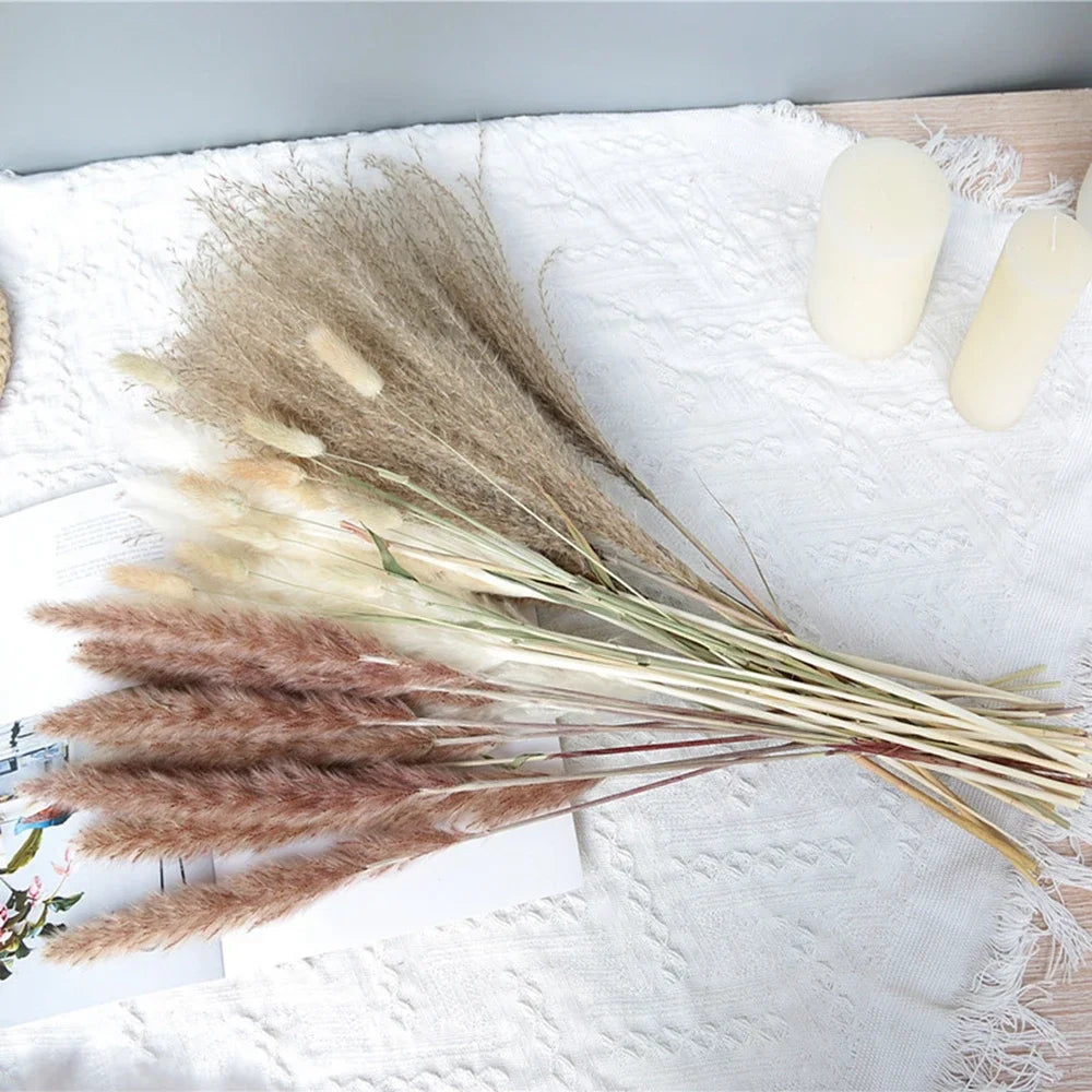 Bouquet de Fleurs Séchées Pampas Blanches – Décoration Bohème & Cozy